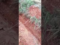 0.6 Tonnen 0,8 Tonnen Mini-Crawler-Exkaver Kleiner Mikro-Exkaver