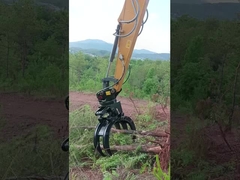 Holz hält sich fest